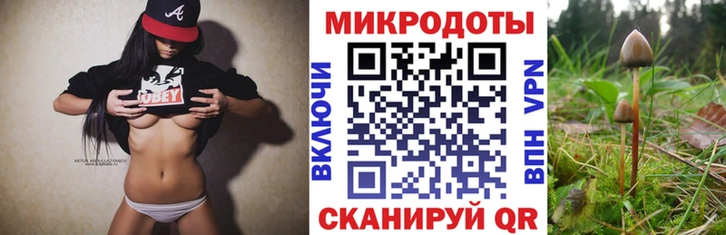 Галлюциногенные грибы Psilocybine cubensis Никольское